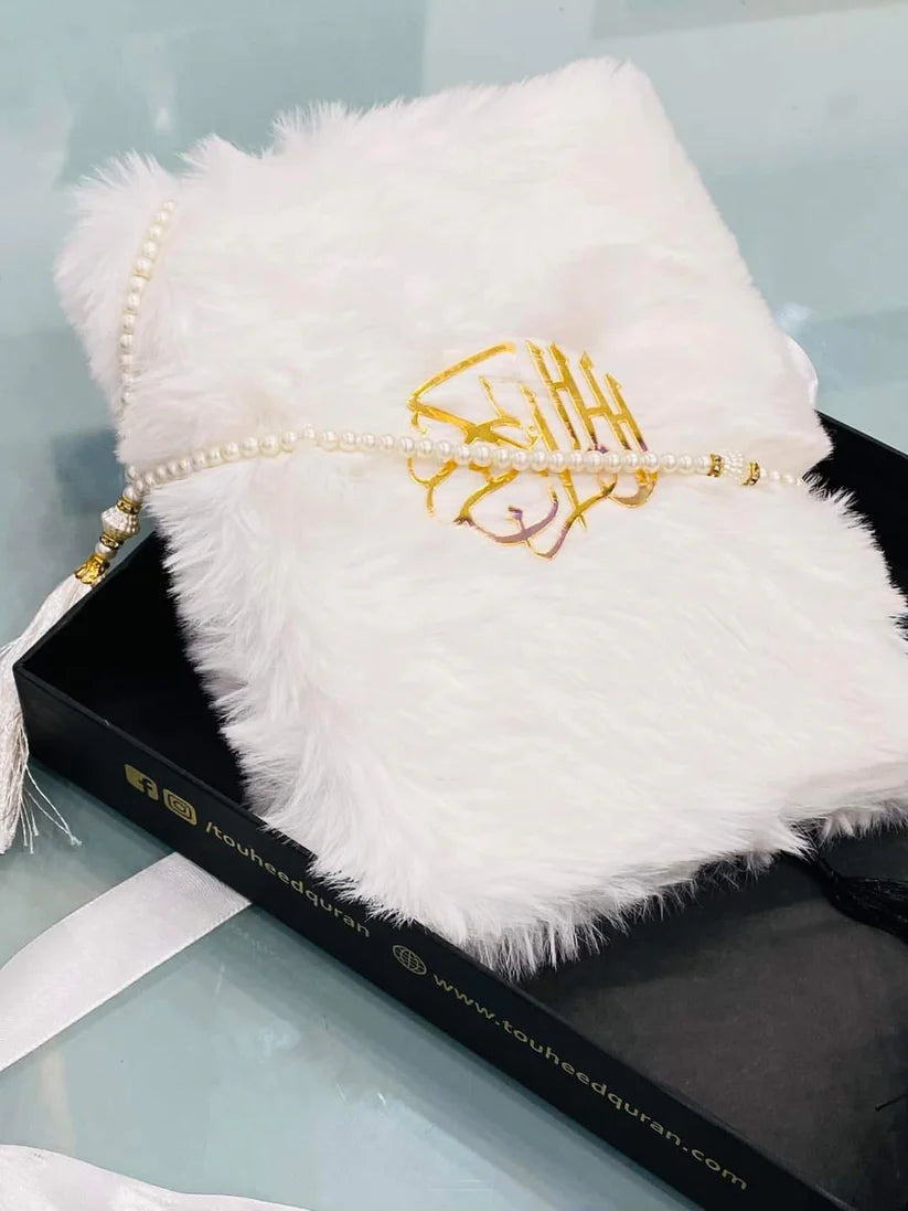 Quran e Pak Fur Binding (76F)