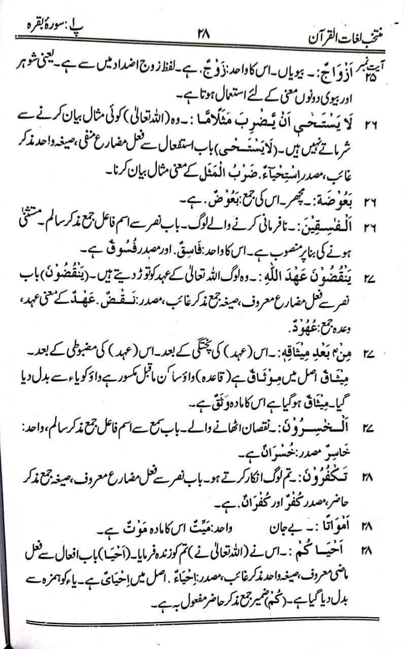 Muntakhab Lughat ul Quran Set 2 Vol