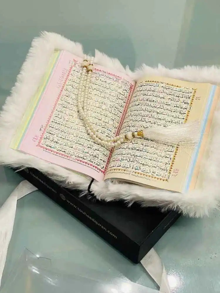 Quran e Pak Fur Binding (76F)